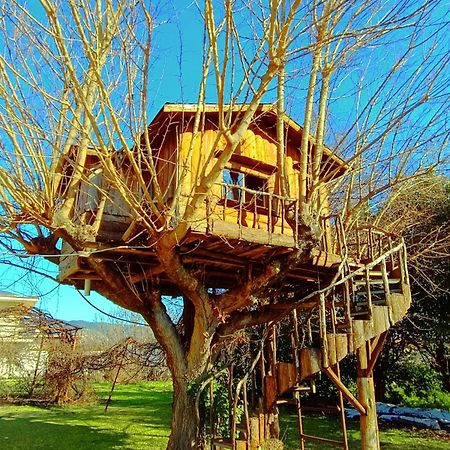 Το Πέτρινο Σπιτάκι Tríkala Exterior foto